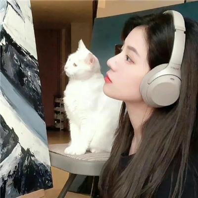 黑猫警长之翡翠之星